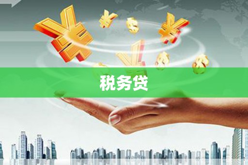阜宁税务贷