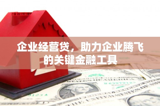 阜宁企业经营贷，助力企业腾飞的关键金融工具
