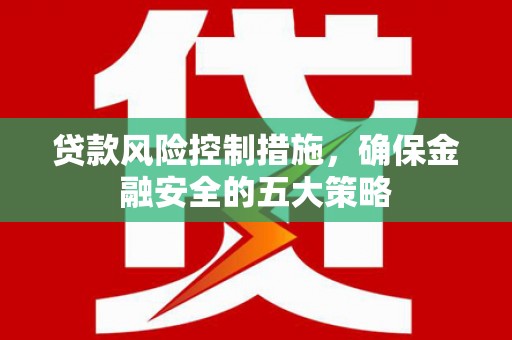 阜宁贷款风险控制措施，确保金融安全的五大策略