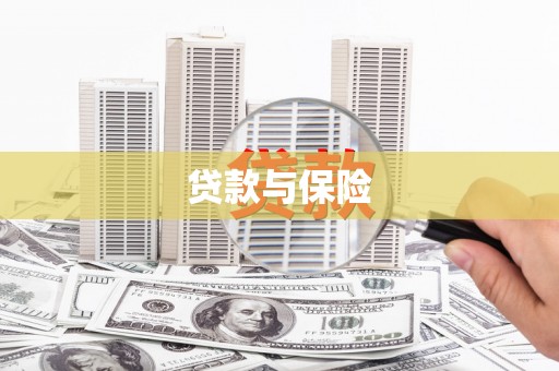 阜宁贷款与保险