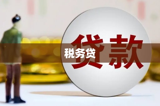 阜宁税务贷