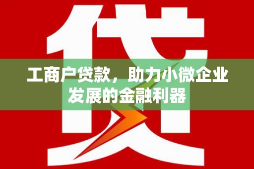 阜宁工商户贷款，助力小微企业发展的金融利器