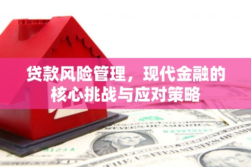 阜宁贷款风险管理，现代金融的核心挑战与应对策略