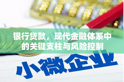 阜宁银行贷款，现代金融体系中的关键支柱与风险控制