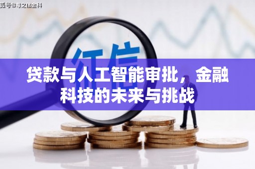 阜宁贷款与人工智能审批，金融科技的未来与挑战