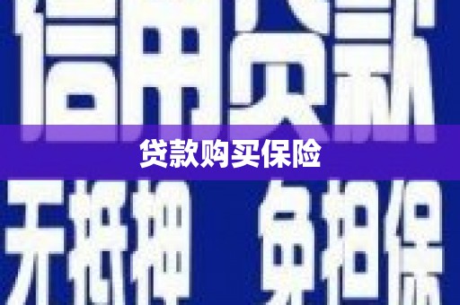 阜宁贷款购买保险