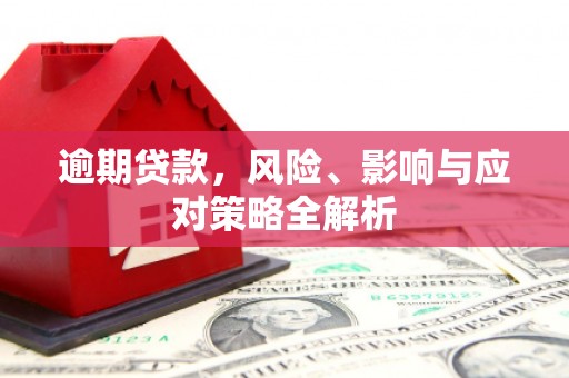 阜宁逾期贷款，风险、影响与应对策略全解析