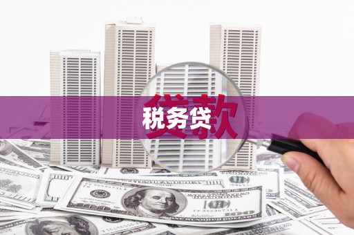 阜宁税务贷