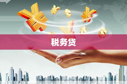 阜宁税务贷