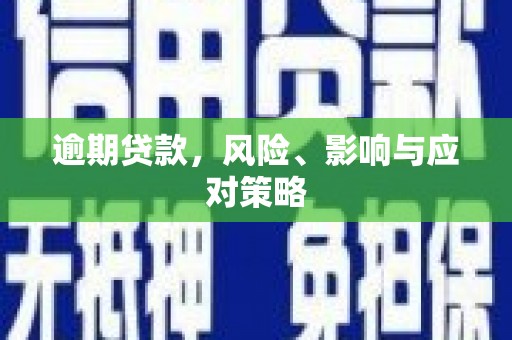 阜宁逾期贷款，风险、影响与应对策略