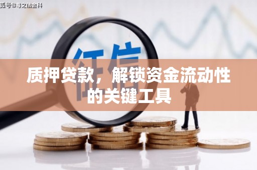 阜宁质押贷款，解锁资金流动性的关键工具