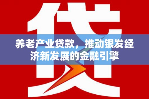 阜宁养老产业贷款，推动银发经济新发展的金融引擎