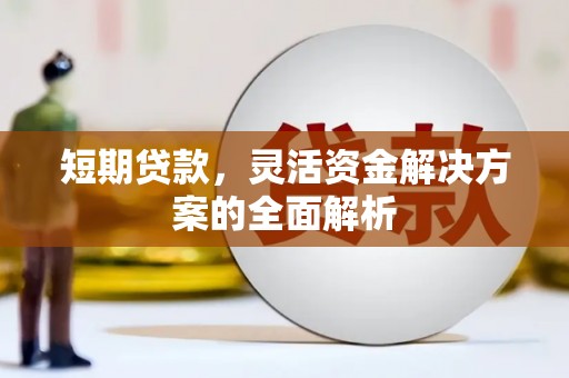 阜宁短期贷款，灵活资金解决方案的全面解析