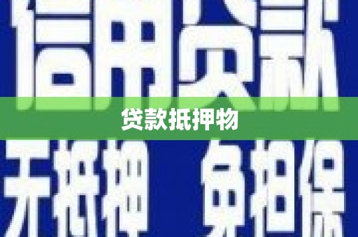阜宁贷款抵押物