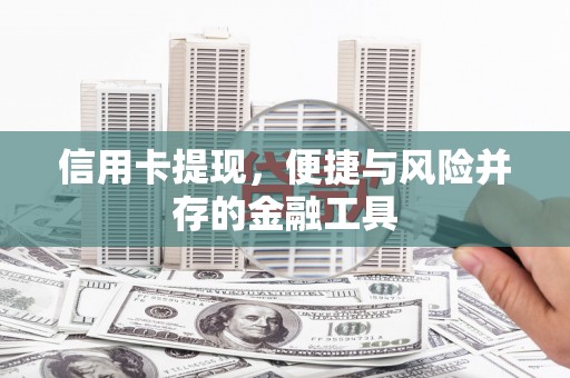 阜宁信用卡提现，便捷与风险并存的金融工具