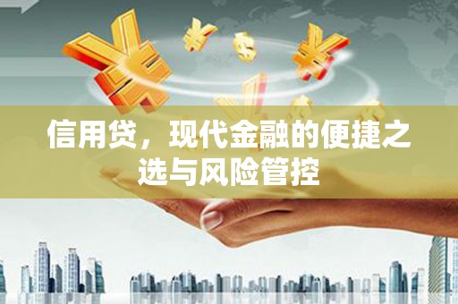 阜宁信用贷，现代金融的便捷之选与风险管控