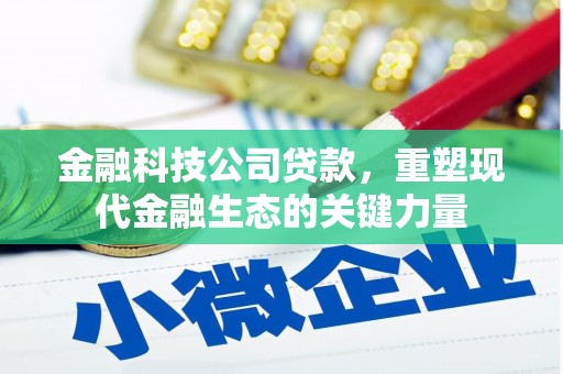 阜宁金融科技公司贷款，重塑现代金融生态的关键力量