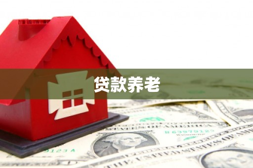 阜宁贷款养老