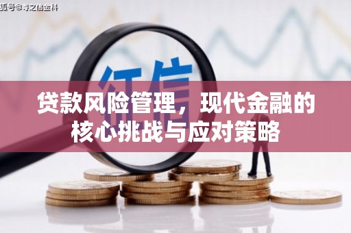 阜宁贷款风险管理，现代金融的核心挑战与应对策略