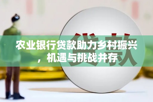 阜宁农业银行贷款助力乡村振兴，机遇与挑战并存
