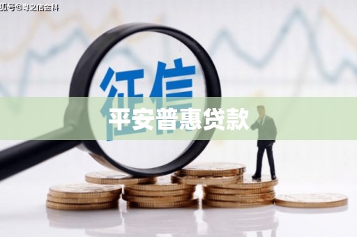阜宁平安普惠贷款