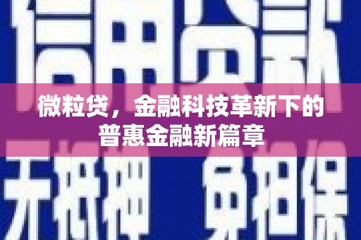 阜宁微粒贷，金融科技革新下的普惠金融新篇章