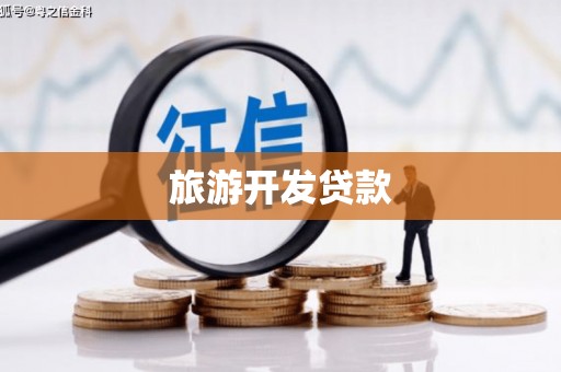 阜宁旅游开发贷款