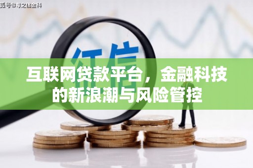 阜宁互联网贷款平台，金融科技的新浪潮与风险管控