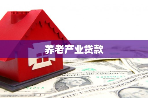 阜宁养老产业贷款