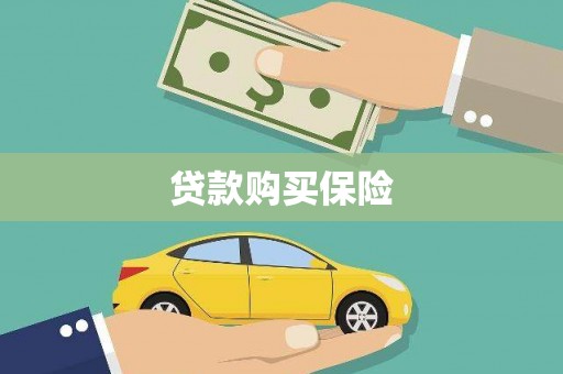 阜宁贷款购买保险