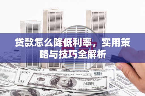 阜宁贷款怎么降低利率，实用策略与技巧全解析