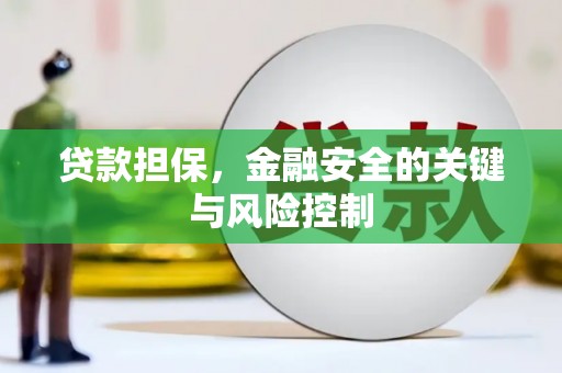 阜宁贷款担保，金融安全的关键与风险控制