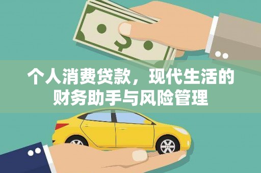 阜宁个人消费贷款，现代生活的财务助手与风险管理