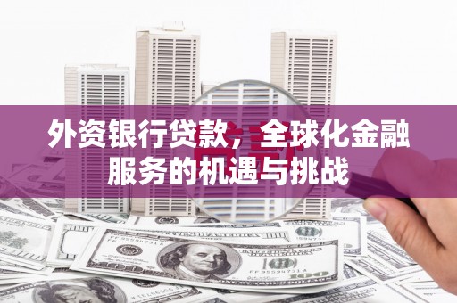 阜宁外资银行贷款，全球化金融服务的机遇与挑战