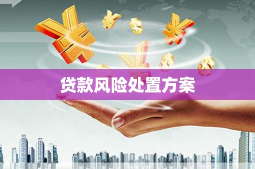 阜宁贷款风险处置方案