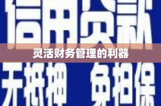 阜宁灵活财务管理的利器