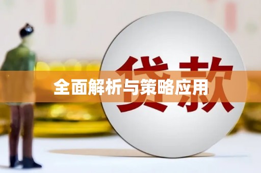 阜宁全面解析与策略应用