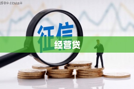 阜宁经营贷