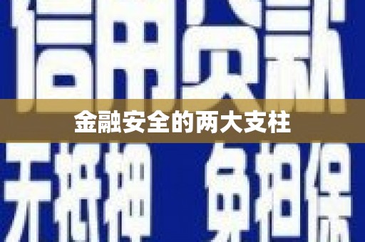 阜宁金融安全的两大支柱