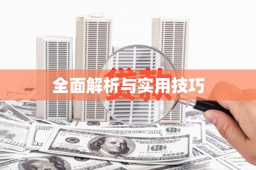 阜宁全面解析与实用技巧