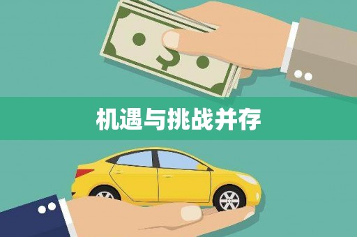 阜宁机遇与挑战并存