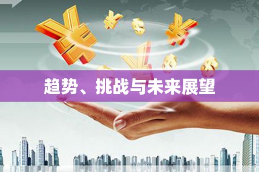 阜宁趋势、挑战与未来展望