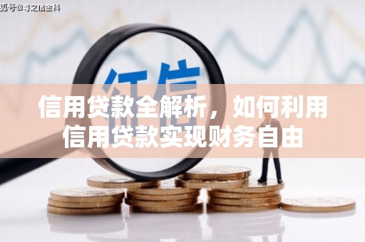 阜宁信用贷款全解析，如何利用信用贷款实现财务自由