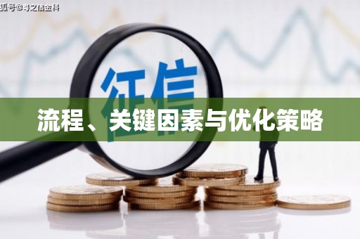 阜宁流程、关键因素与优化策略