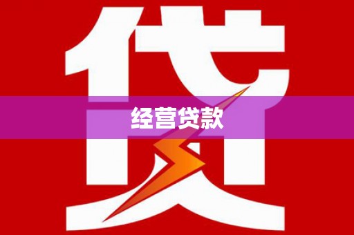 阜宁经营贷款