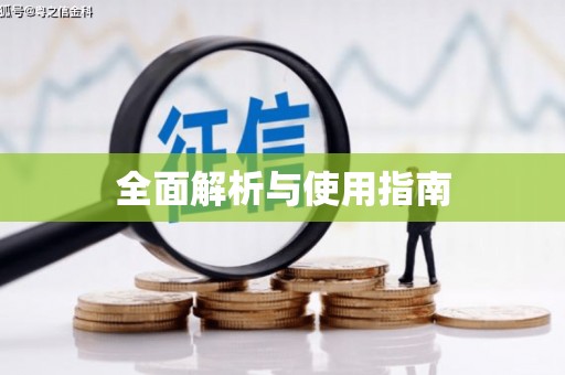 阜宁全面解析与使用指南