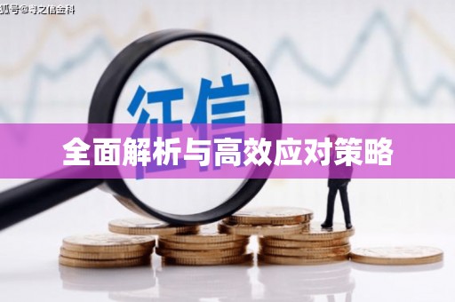 阜宁全面解析与高效应对策略