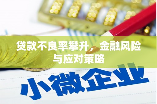 阜宁贷款不良率攀升，金融风险与应对策略